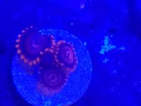 20161203_192538.jpg