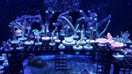 20170218_203727.jpg