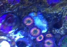 IMG_2136.jpg