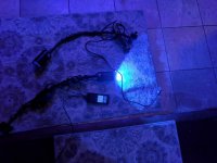 IMG_20170219_180111.jpg