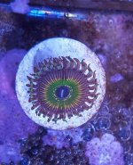 20180307_194932.jpg