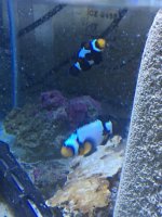 IMG_5407.jpg