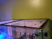 20180530_201336.jpg