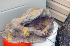 IMG_1554.JPG