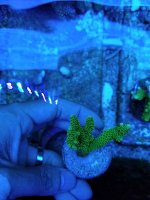 20170917_112413.jpg