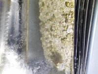 20170630_151352.jpg