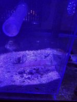 20170630_164801.jpg