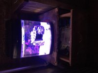 IMG_4753.jpg