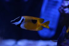 IMG_2381.jpg