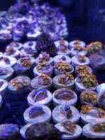 20180308_220432.jpg