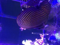 IMG_2348.jpg