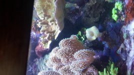 20170220_135413.jpg