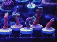 20180308_220648.jpg