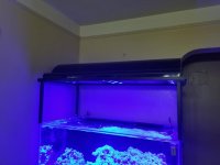 20170630_211306.jpg