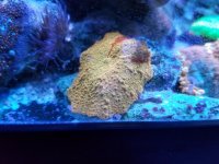 20170628_201315.jpg