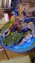 IMG_20171214_224310.jpg
