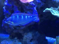 IMG_0064.jpg