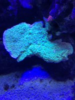 IMG_2583.jpg