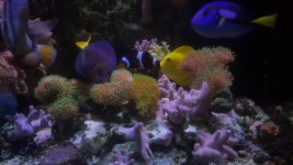 20180529_145750.jpg