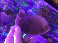 IMG_0480.jpg
