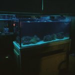 IMG_7300.jpg