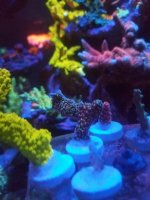 20161215_193400.jpg