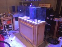 IMG_7019.JPG