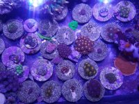 20161205_135057.jpg