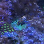 CD3346C9-97BF-4BBA-9F26-11AB5DBB86E0.jpg
