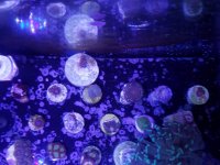 20161205_135043.jpg