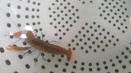20171219_164901.jpg