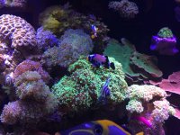 IMG_6078.JPG