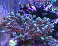 IMG_8278.jpg
