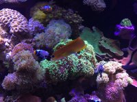 IMG_6079.JPG