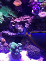 IMG_6089.jpg