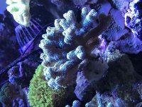 CCA7C4CF-A8DD-4358-B63F-F38034266EF1.jpg