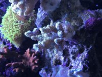 78165EF3-F0E5-48FB-85A8-E100997A6B31.jpg