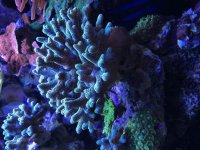 8886EB1E-4A39-4961-8C8E-DB306A77C9D7.jpg