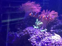 tank20172.jpg