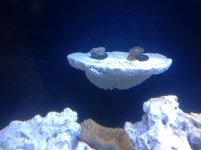 IMG_4810.jpg