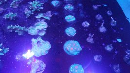 20180527_190847.jpg