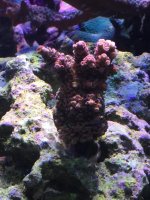 IMG_3567.jpg