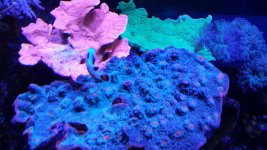 20170917_152053.jpg