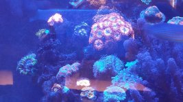 20170918_120022.jpg