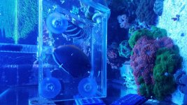 20180531_185539.jpg