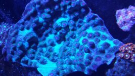 20170917_152143.jpg