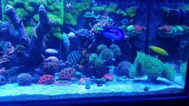 20180329_175411.jpg