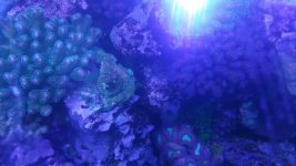 20180602_132018.jpg