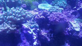 20180602_132244.jpg