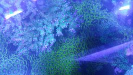 20180602_132108.jpg
